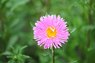 Similar image 1412028