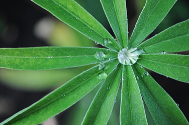 Similar image 1412030