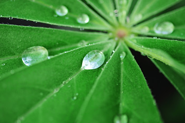 Similar image 1412032