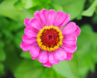 Similar image 1412035