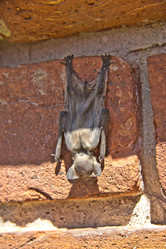 Similar image 1412046