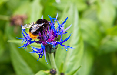 Similar image 1412055