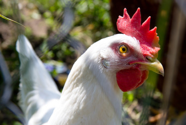 Similar image 1412056