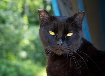 Similar image 1412057