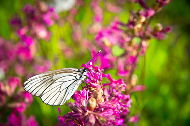 Similar image 1412058