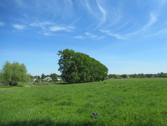 Similar image 1412063