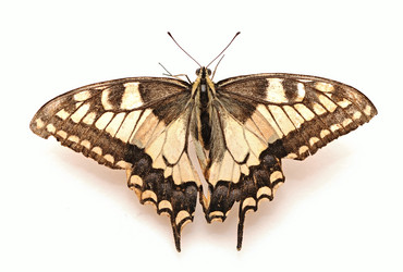 Similar image 1412074