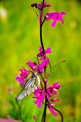 Similar image 1412107