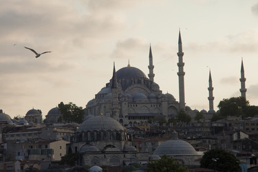 Similar image 1412109