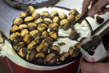 Similar image 1412125