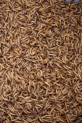 Similar image 1412129