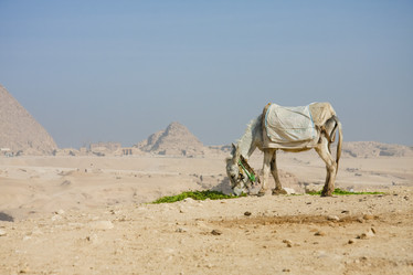 Similar image 1412139