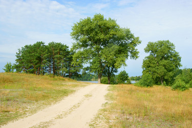 Similar image 1412145