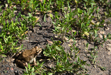 Similar image 1412267