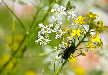 Similar image 1412302