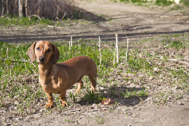 Similar image 1412306