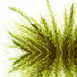 Similar image 1412311