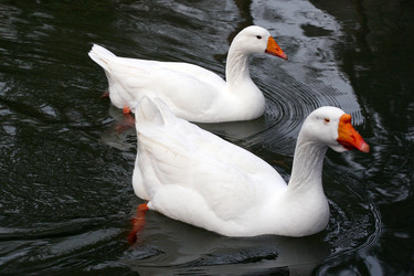 Similar image 1412318