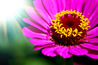 Similar image 1412391