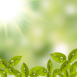 Similar image 1412392