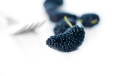 Similar image 1412557