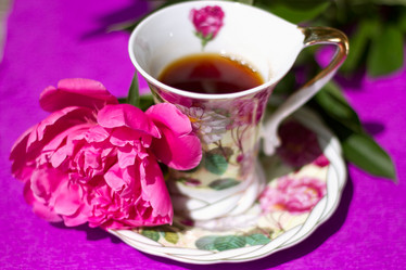 Similar image 1412572