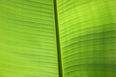 Similar image 1412688