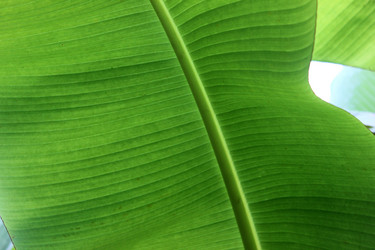 Similar image 1412750