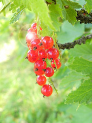 Similar image 1412781