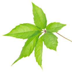 Similar image 1412879