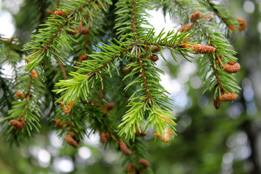 Similar image 1412883