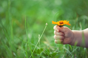 Similar image 1412893