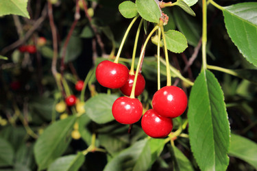 Similar image 1412898