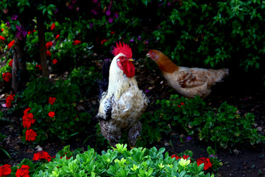 Similar image 1412900