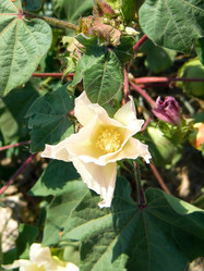 Similar image 1412902