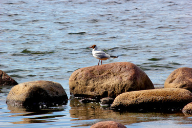 Similar image 1412930