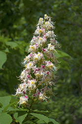 Similar image 1412959