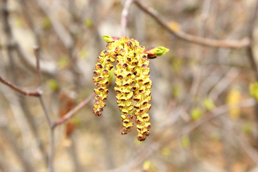 Similar image 1412974