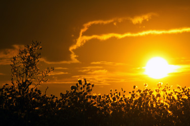 Similar image 1413028