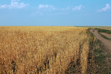 Similar image 1413030