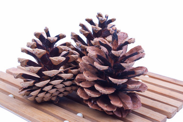 Similar image 1413038