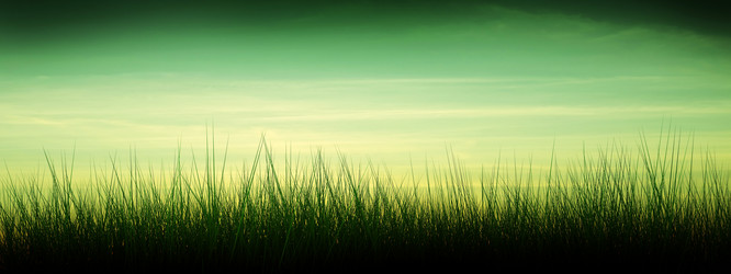 Similar image 1413044