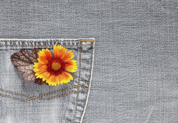 Similar image 1413062