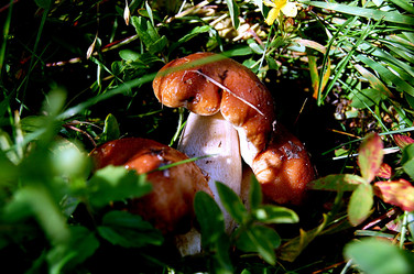 Similar image 1413087