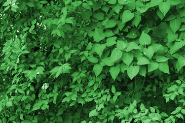 Similar image 1413114