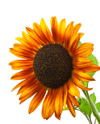 Similar image 1413143