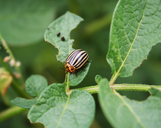 Similar image 1413148