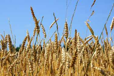 Similar image 1413226