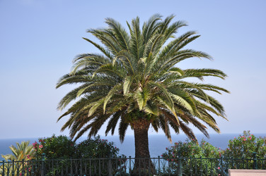 Similar image 1413245