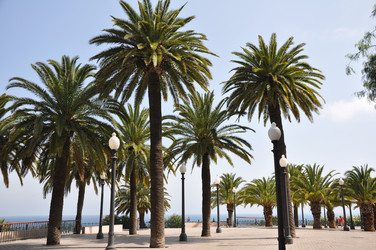 Similar image 1413248